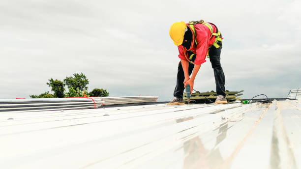 Steel Roofing in Mead, CO